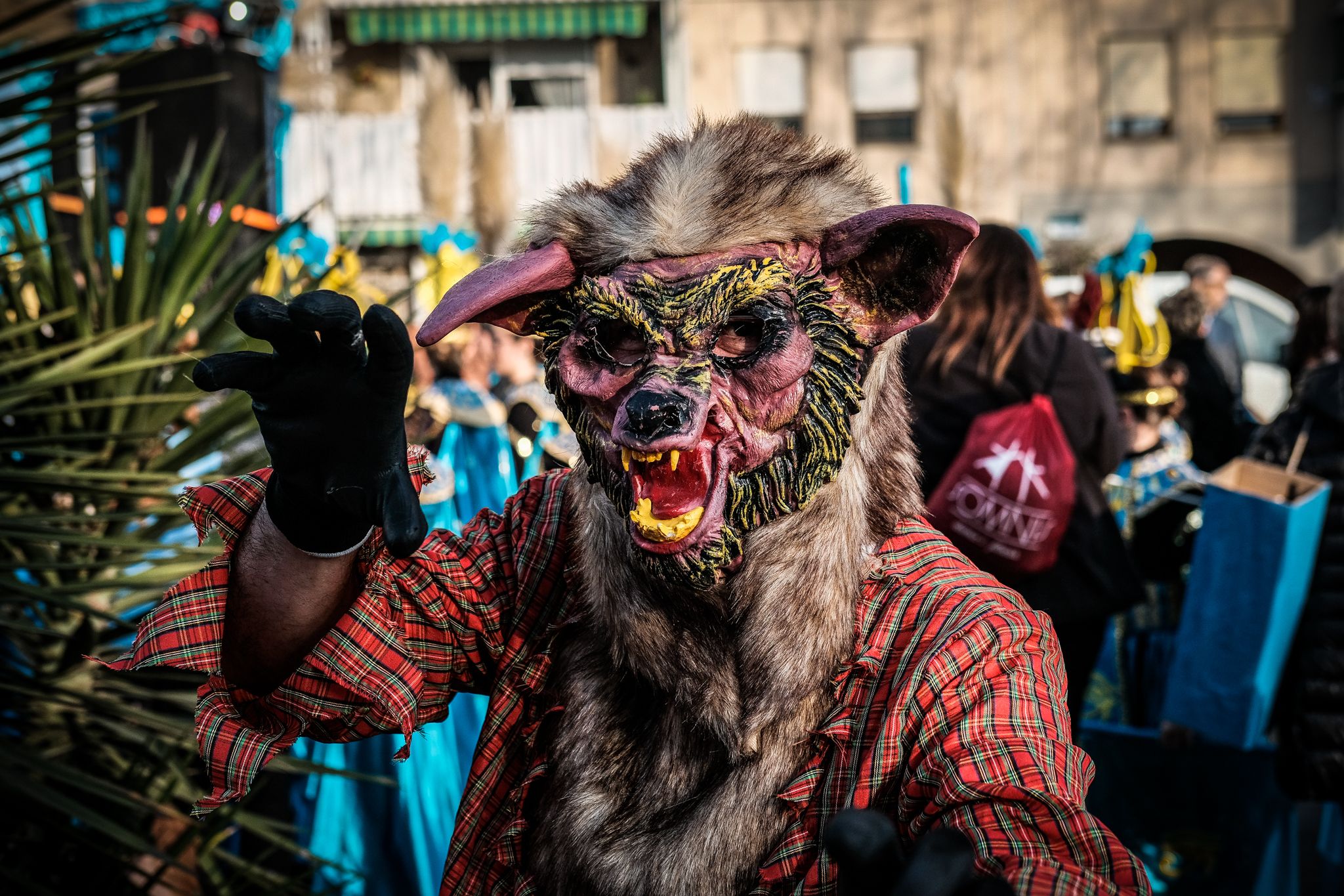 La Gran Rua de Carnaval pels carrers de Cerdanyola. FOTO: Ale Gómez