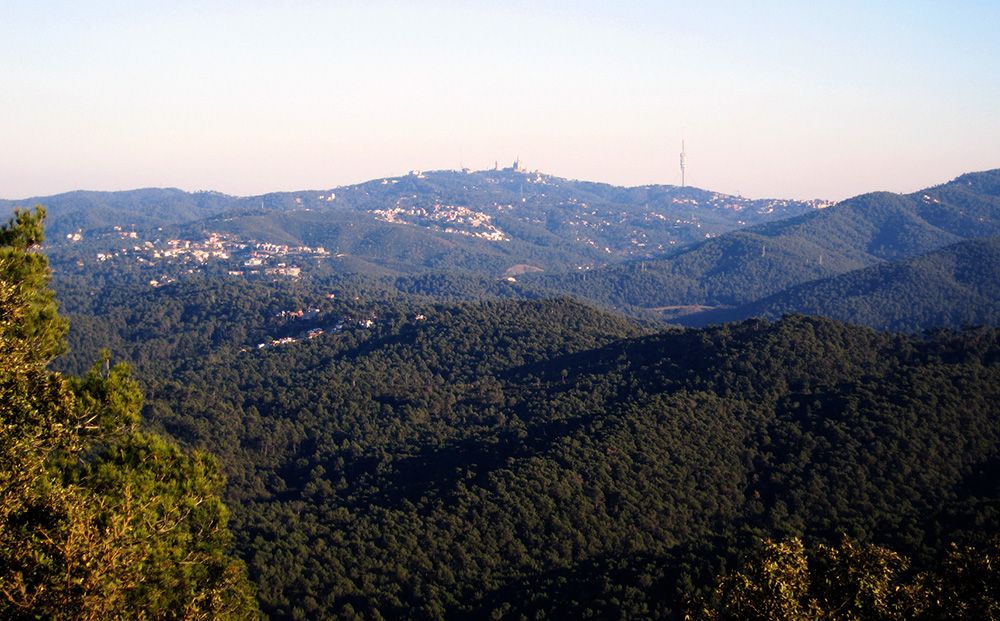 Parc Natural de Collserola. FOTO: FEEC