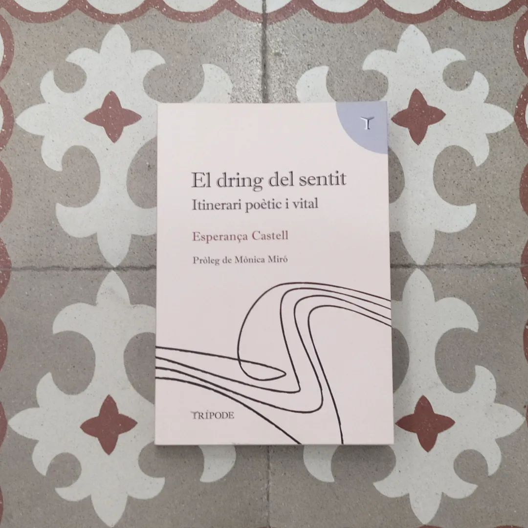 'El dring del sentit' (2023, Esperança Castell)