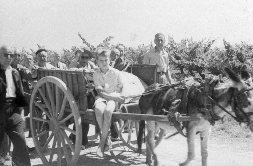 Una família sobre un carretó, davant d'un camp de vinyes. FOTO: Arxiu Escursell