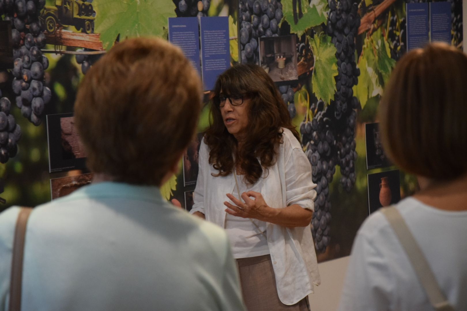 Inauguració exposició 'Al Vallès som gent de Vinya' en imatges. FOTO: Marc Mata