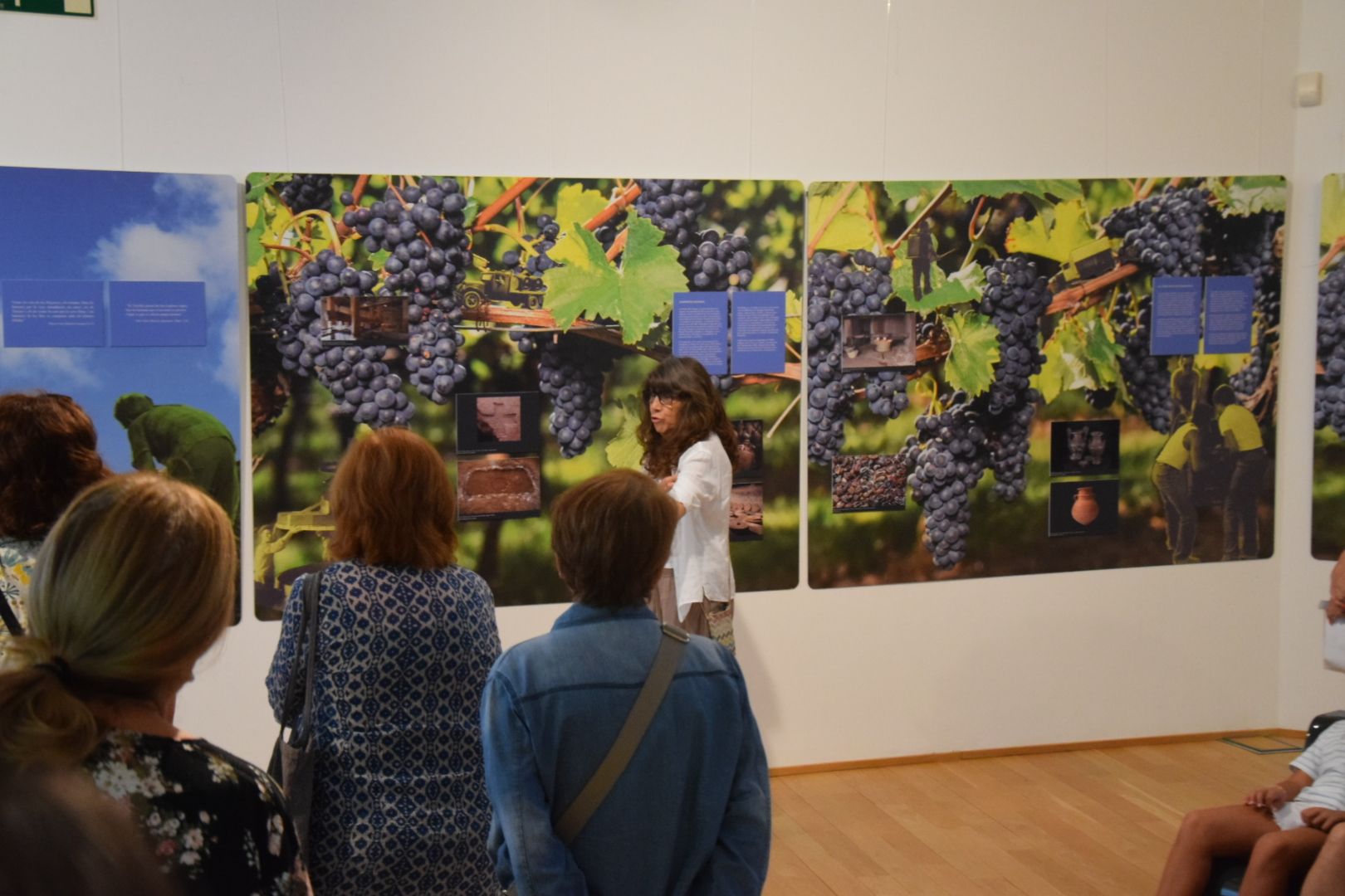 Inauguració exposició 'Al Vallès som gent de Vinya' en imatges. FOTO: Marc Mata