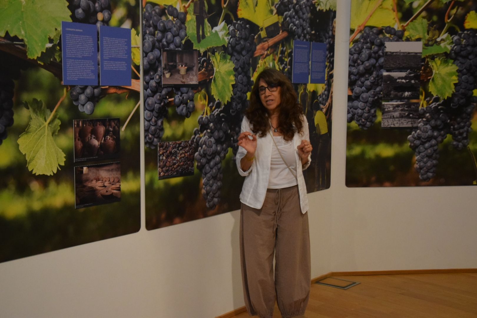 Inauguració exposició 'Al Vallès som gent de Vinya' en imatges. FOTO: Marc Mata