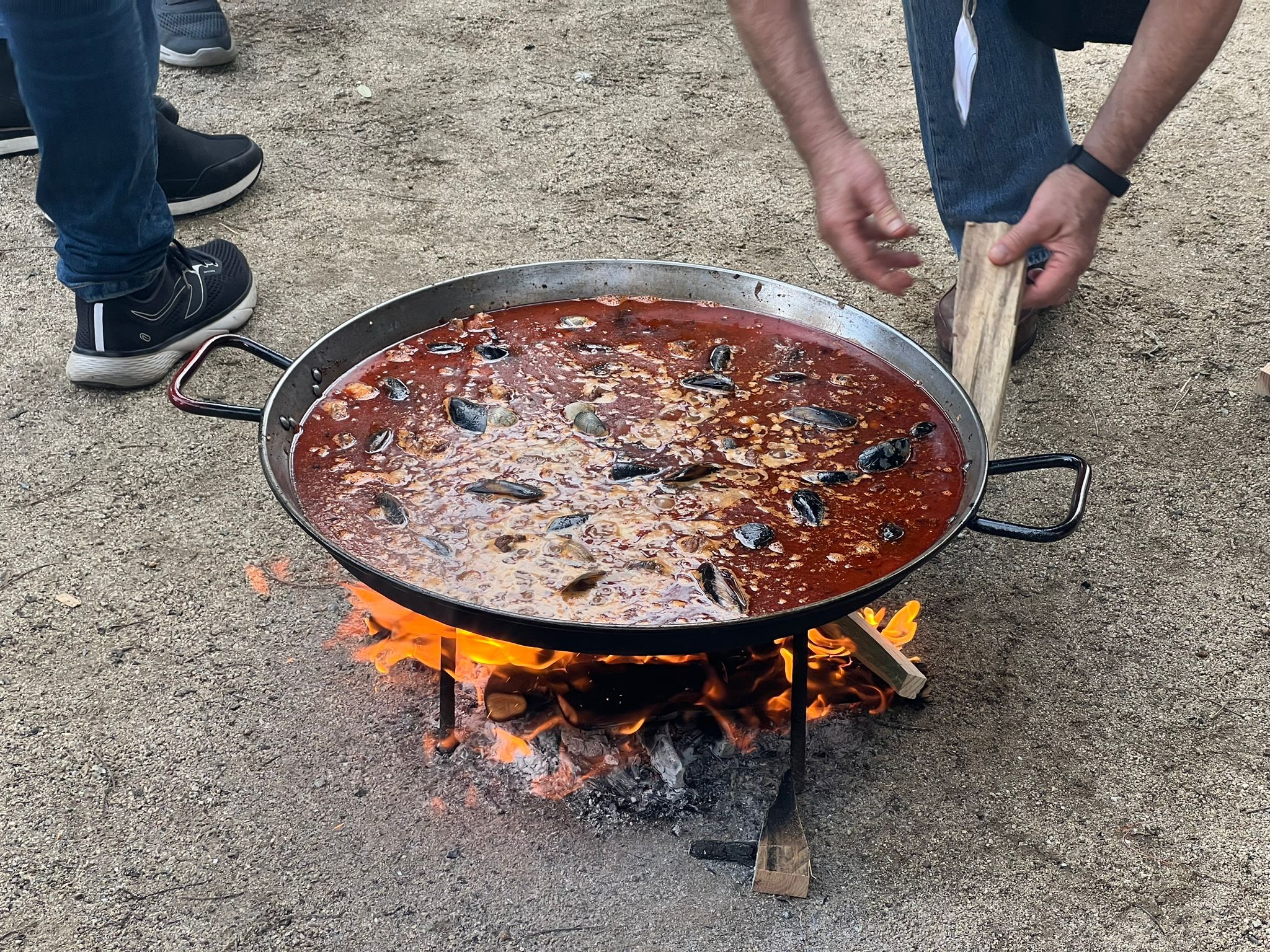 Cerdanyola celebra el concursos de paelles de Sant Martí. FOTO: Marc Mata