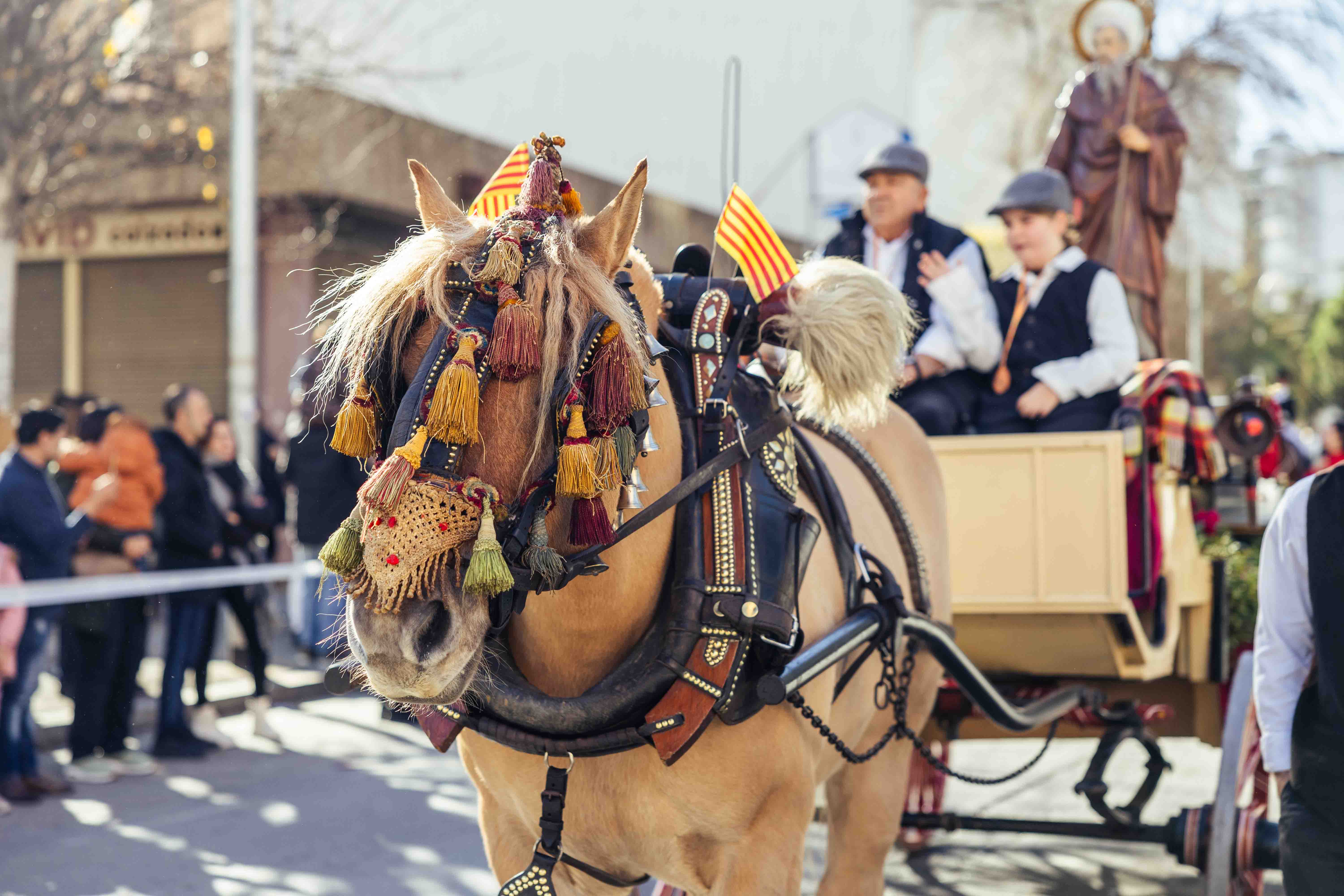 Passada dels Tres Tombs 2025. FOTO: Arnau Padilla