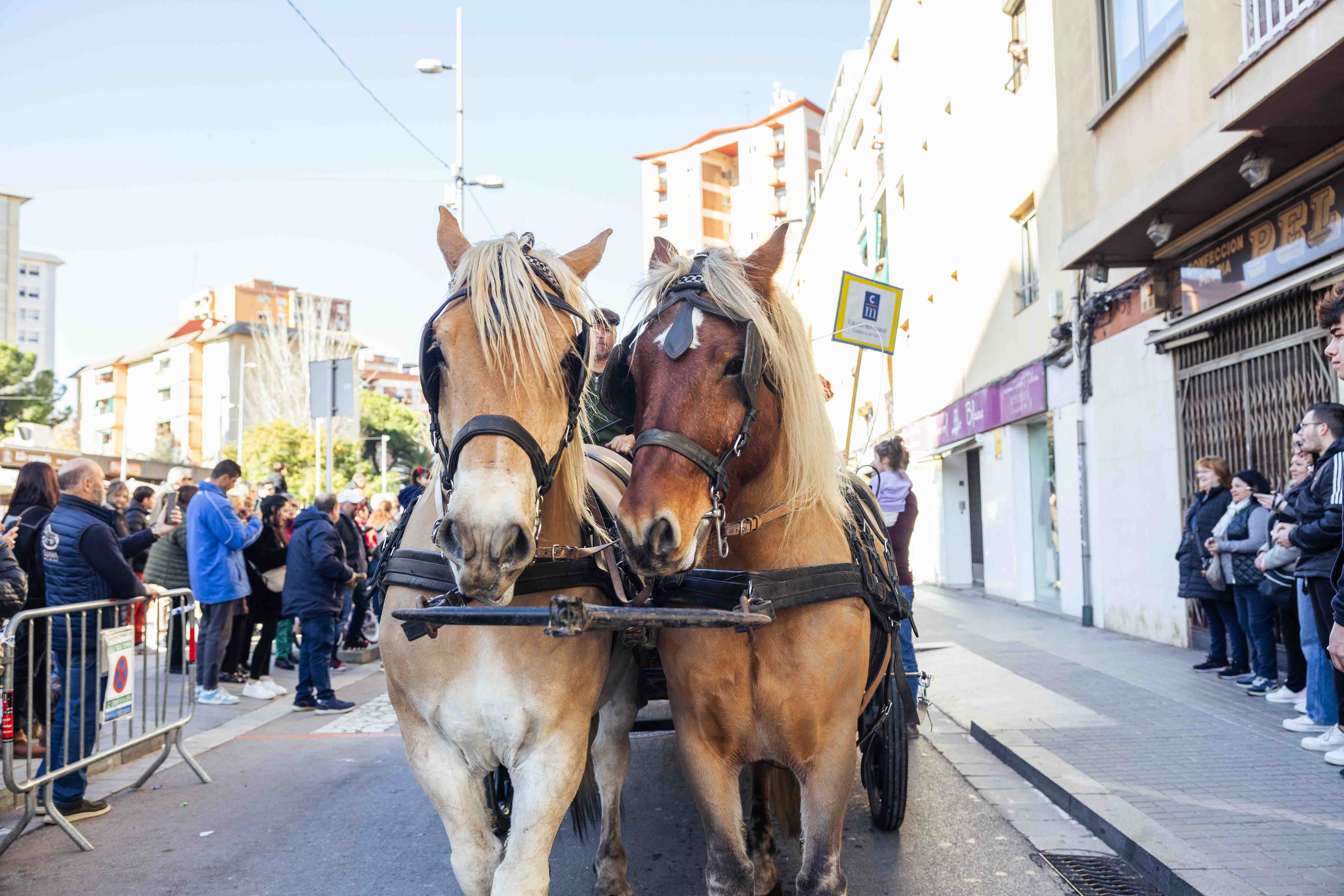 Passada dels Tres Tombs 2025. FOTO: Arnau Padilla