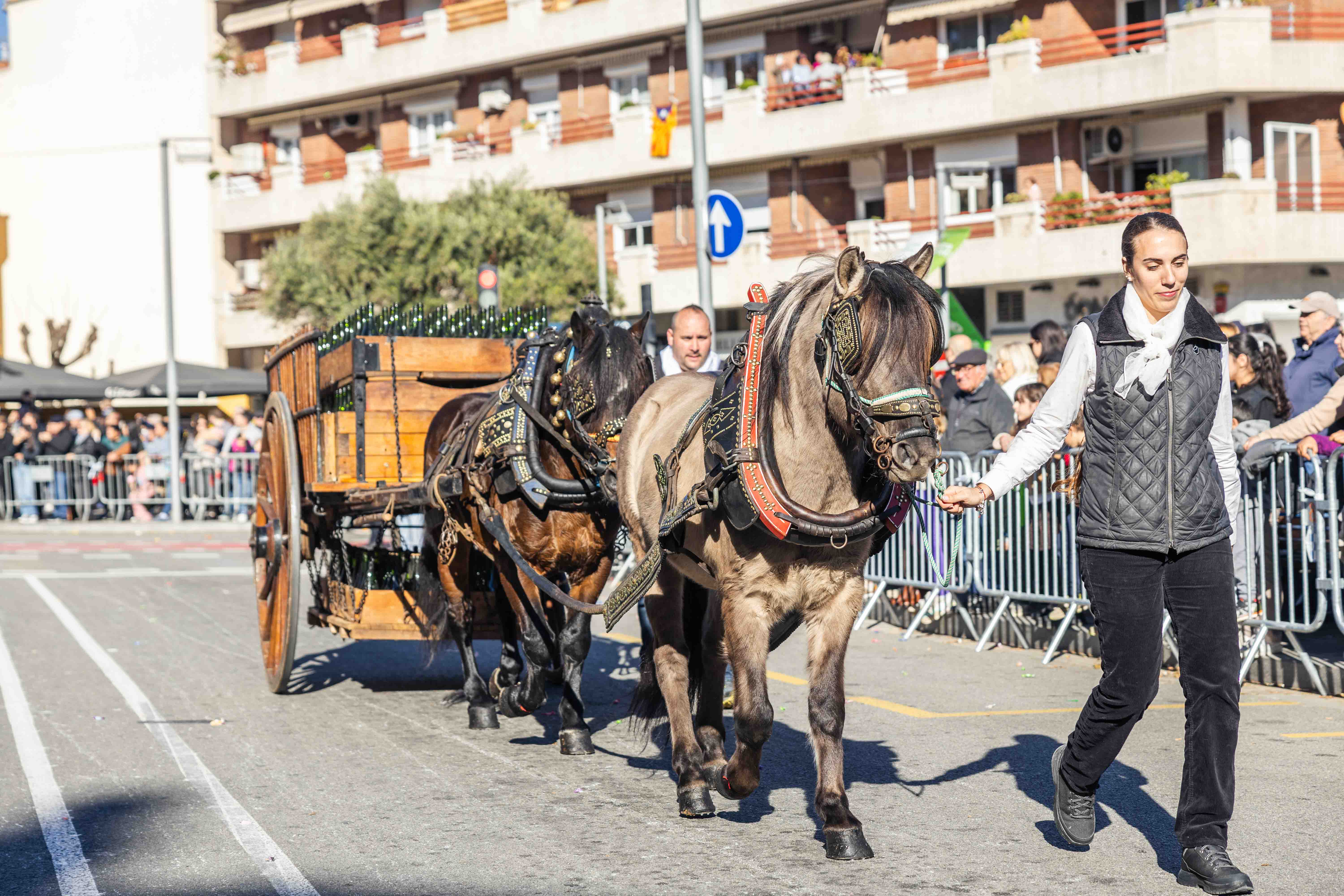 Passada dels Tres Tombs 2025. FOTO: Arnau Padilla 