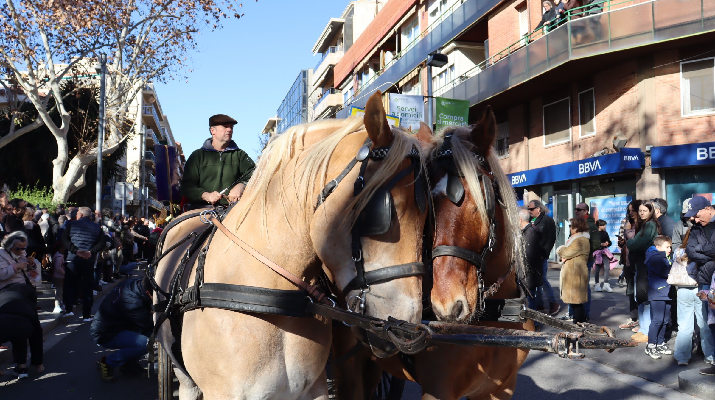 Passada dels Tres Tombs 2025. FOTO: Marc Mata 